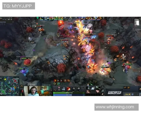 深入剖析BLG在DOTA2中的区域防守策略与战术布局